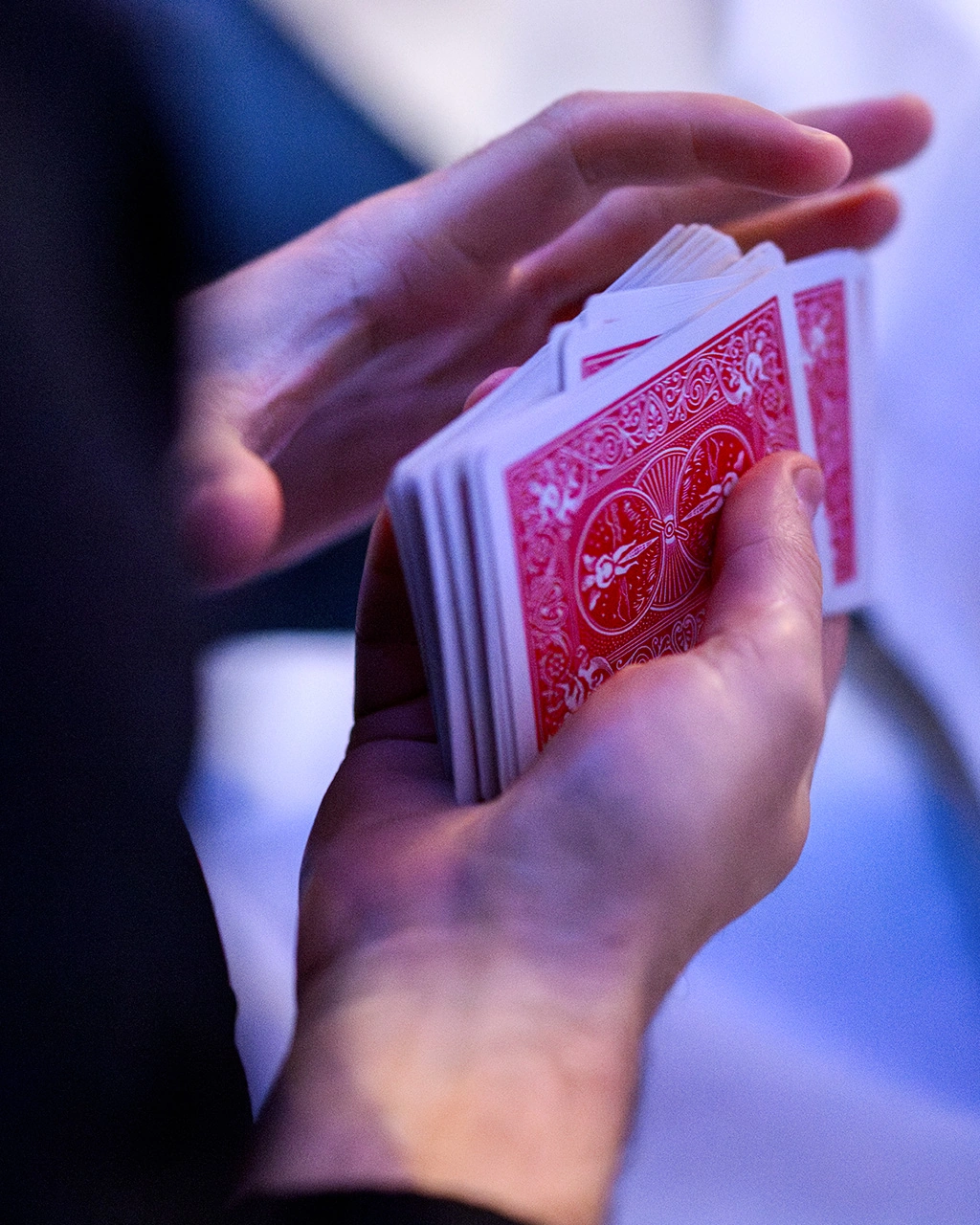 Gros plan sur un jeu de cartes Bicycle étalé entre les mains de Grégory